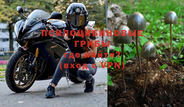 мдма Корсаков
