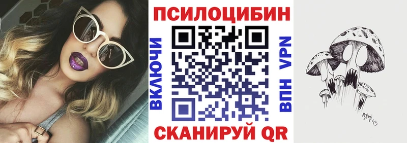 Купить  Красный Холм  Псилоцибиновые грибы Psilocybine cubensis 